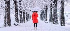 Donna con ombrello sotto una copiosa nevicata
