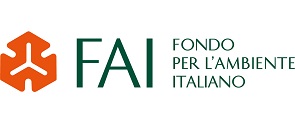 Logo FAI