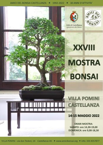 locandina xxviii mostra bonsai a villa pomini castellanza