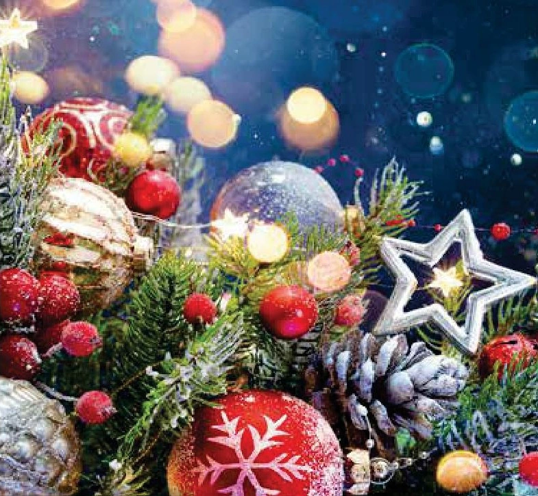 Alle ore 17,00 davanti all'ingresso del Municipio su viale Rimembranze si accenderà l'albero di  Natale