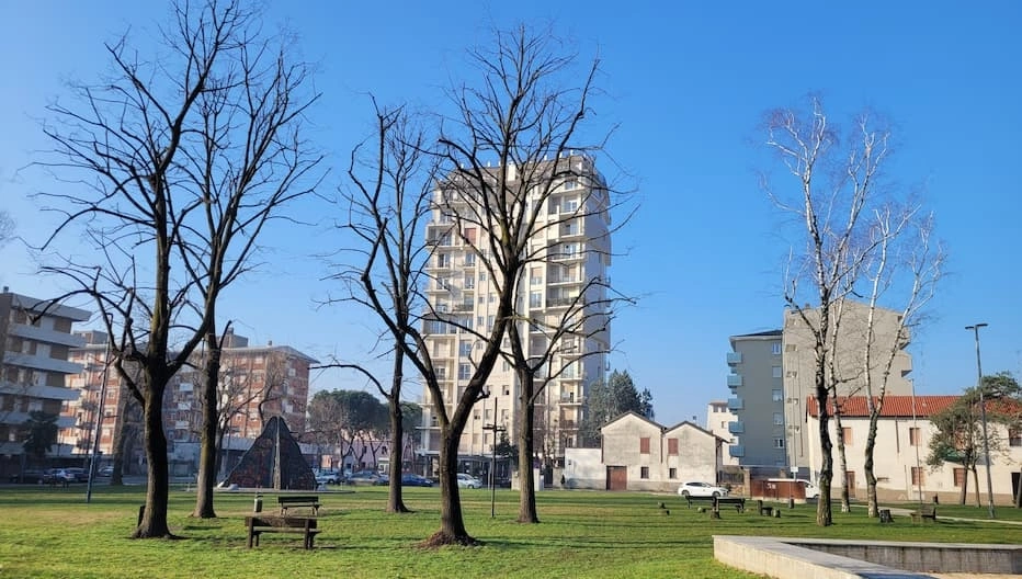 La Giunta comunale ha approvato il piano di manutenzione straordinaria del patrimonio arboreo