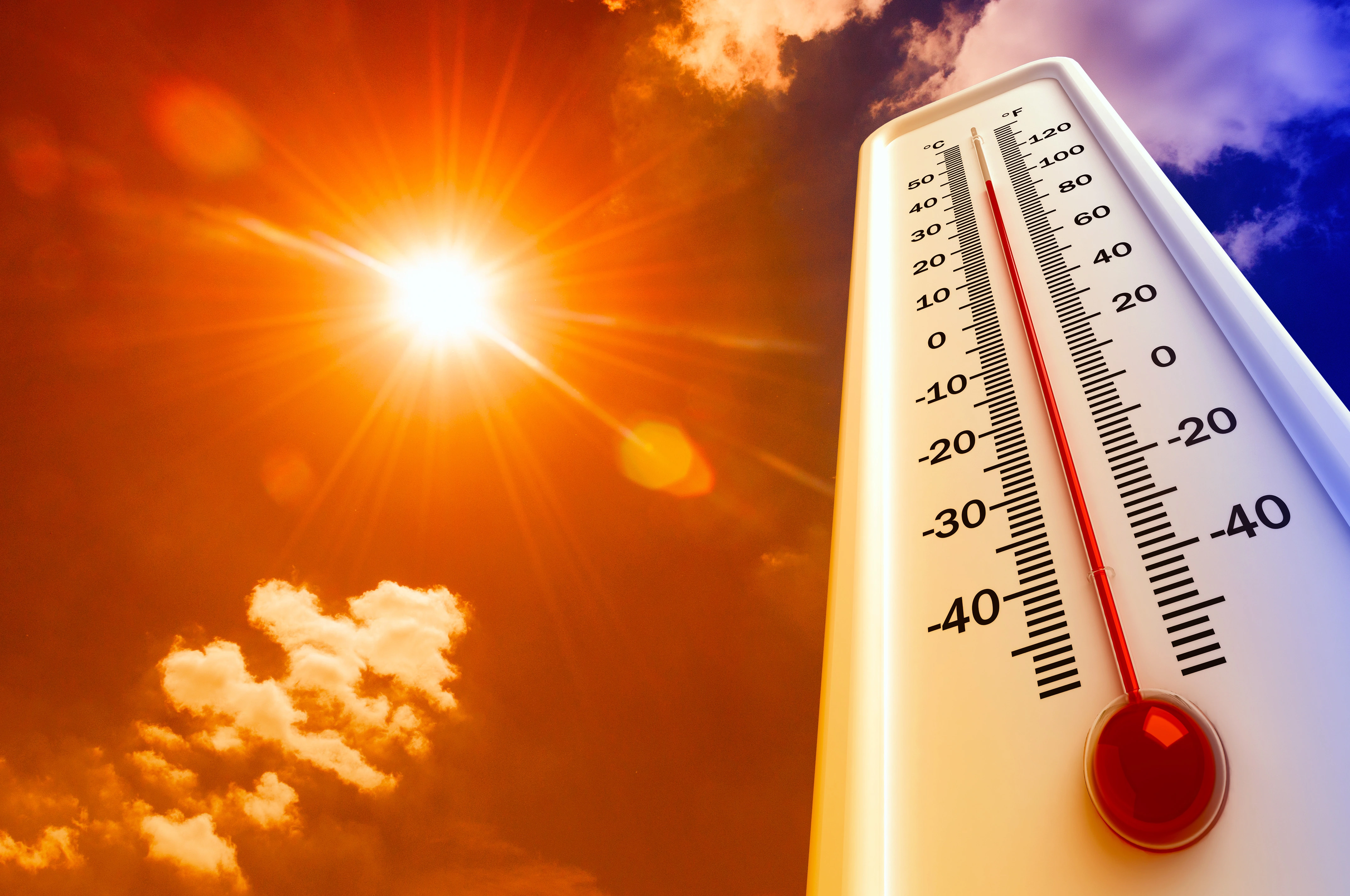 Immagine che raffigura Come affrontare il caldo estivo