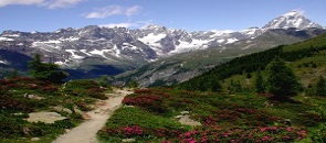 Immagine che raffigura Cervino, Monte Rosa e ...