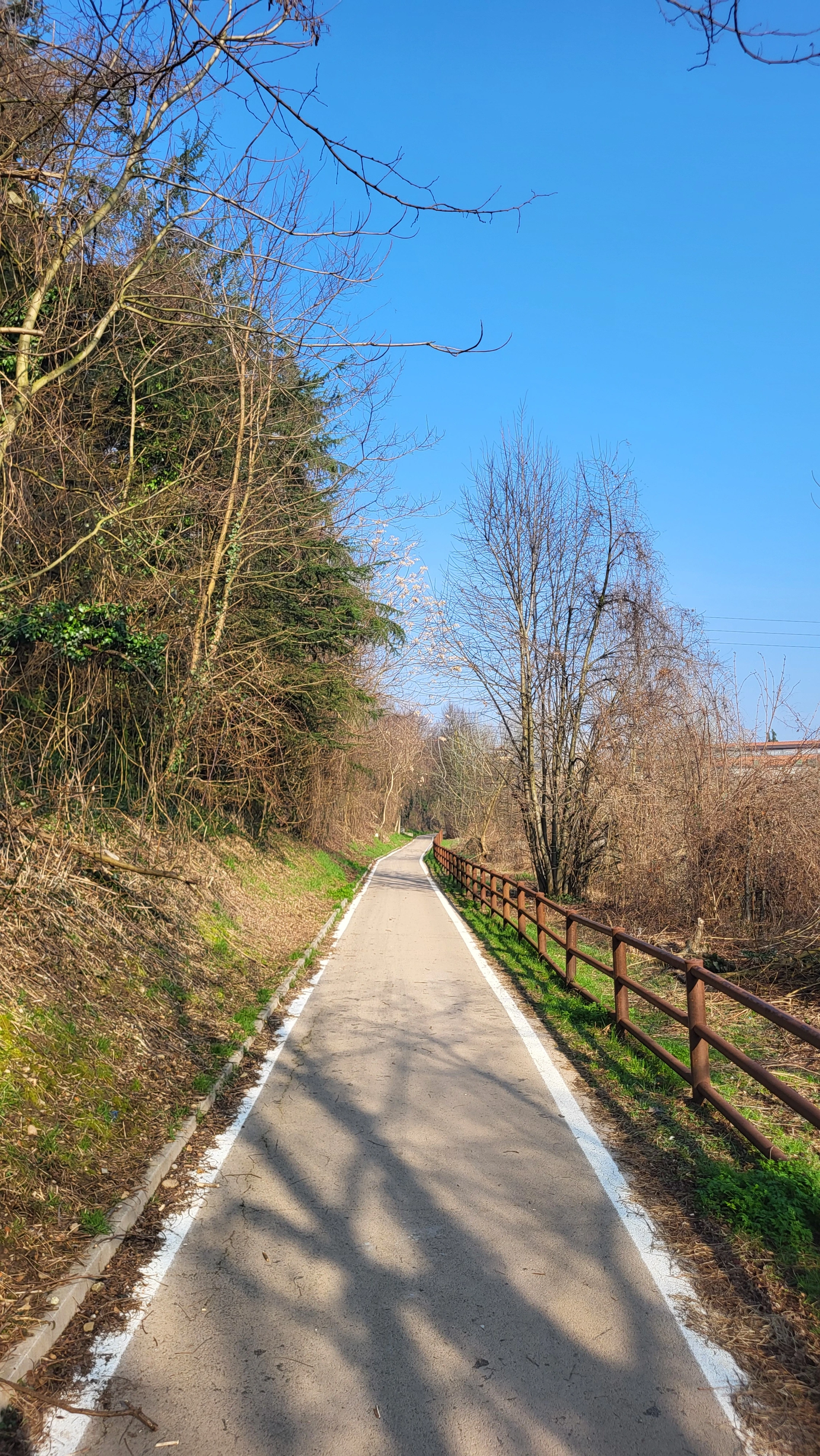 Inaugurazione del tratto castellanzese della pista ciclopedonale "Move On"