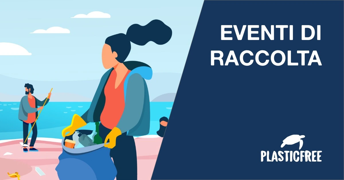 Primo appuntamento del 2026: famiglie, studenti universitari e istituti scolastici uniti nella raccolta di plastica, vetro, alluminio e rifiuti indifferenziati