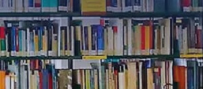 Libri sugli scaffaki della Biblioteca Rostoni LIUC