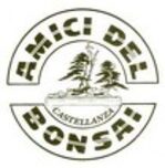 Logo Amici del Bonsai